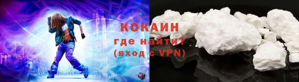 гидра Арсеньев