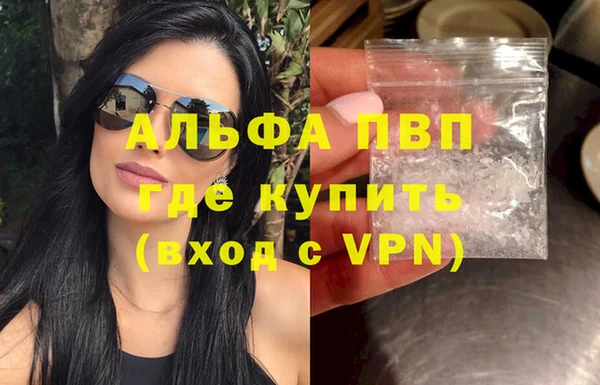 гидра Арсеньев