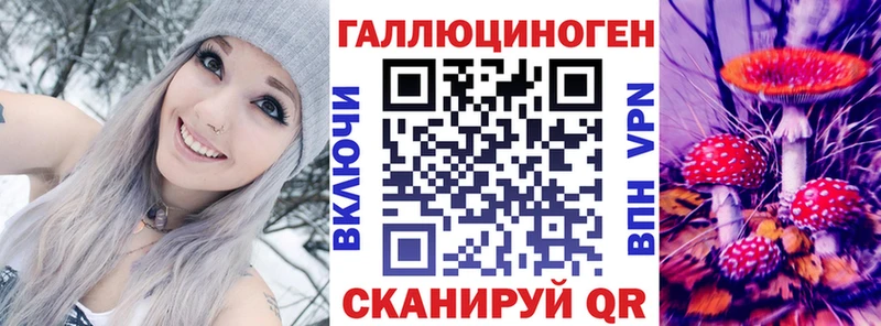 сколько стоит  Приозерск  Псилоцибиновые грибы Psilocybe 