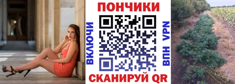 Конопля сатива  мориарти наркотические препараты  Приозерск 